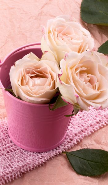 Обои 600x1024 розовые розы, букет роз, цветочная композиция