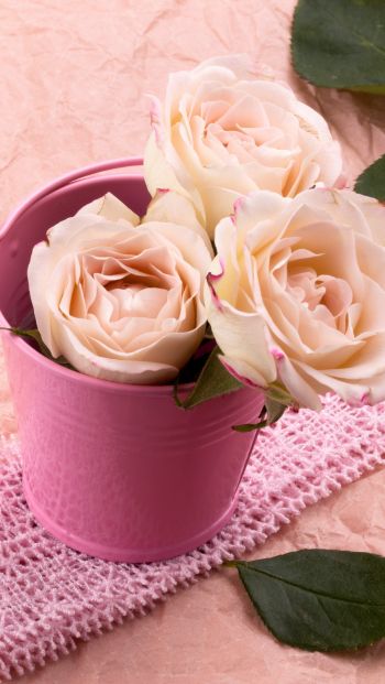 Обои 640x1136 розовые розы, букет роз, цветочная композиция