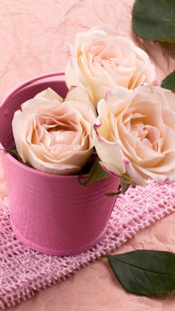 Обои 1440x2560 розовые розы, букет роз, цветочная композиция