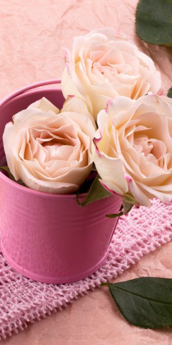 pink roses, bouquet of roses, flower arrangement Wallpaper 720x1440