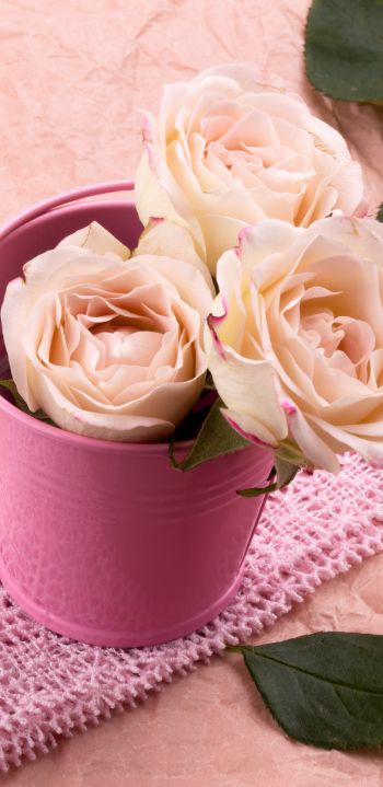 Обои 1080x2220 розовые розы, букет роз, цветочная композиция