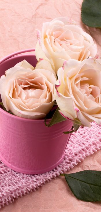 Обои 1440x3040 розовые розы, букет роз, цветочная композиция