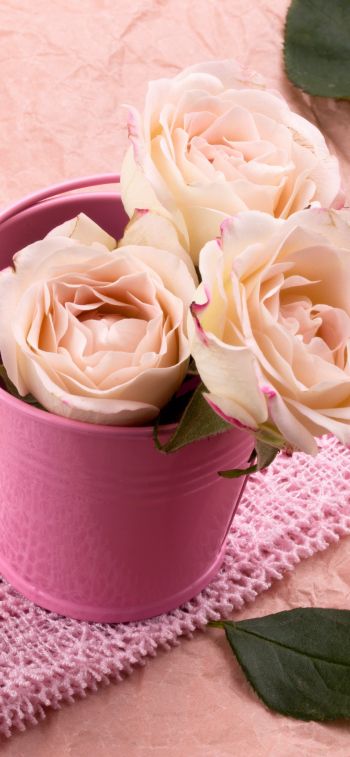 pink roses, bouquet of roses, flower arrangement Wallpaper 1125x2436