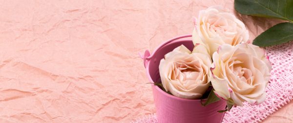 pink roses, bouquet of roses, flower arrangement Wallpaper 2560x1080