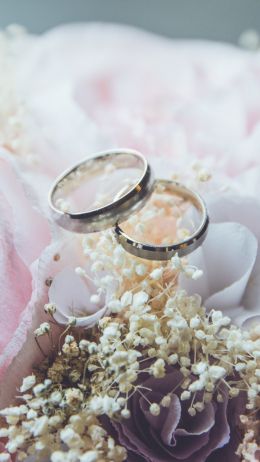 Обои 750x1334 обручальные кольца, свадьба, цветочная композиция