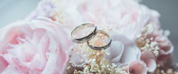 wedding rings, wedding, flower arrangement Wallpaper 2560x1080