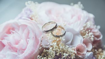 wedding rings, wedding, flower arrangement Wallpaper 2560x1440