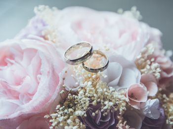 wedding rings, wedding, flower arrangement Wallpaper 1024x768