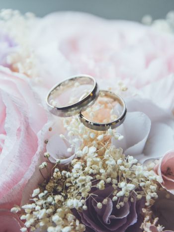 wedding rings, wedding, flower arrangement Wallpaper 2048x2732