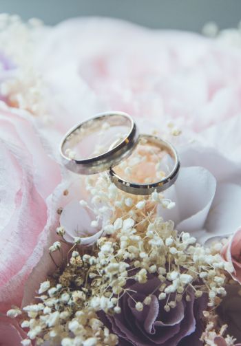 wedding rings, wedding, flower arrangement Wallpaper 1640x2360