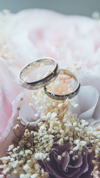 Обои 640x1136 обручальные кольца, свадьба, цветочная композиция