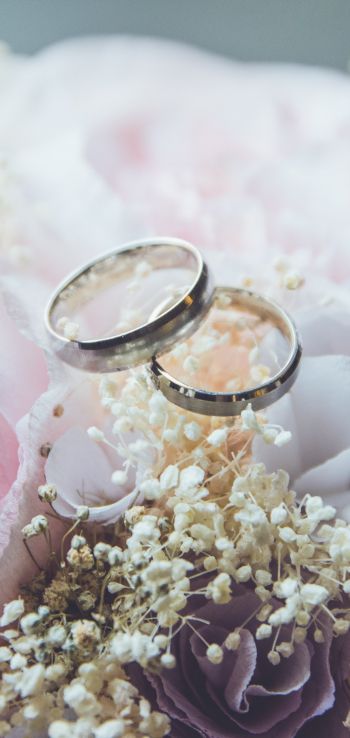 wedding rings, wedding, flower arrangement Wallpaper 1440x3040