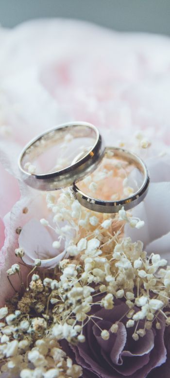 wedding rings, wedding, flower arrangement Wallpaper 1440x3200