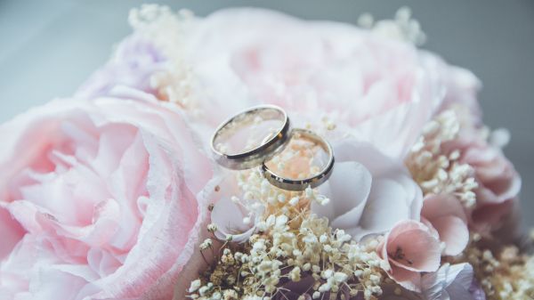 Обои 2048x1152 обручальные кольца, свадьба, цветочная композиция