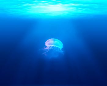 Обои 1280x1024 медуза, подводный мир, синий