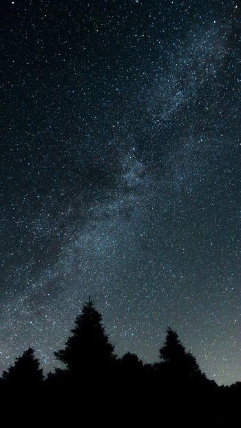 Обои 640x1136 звездная ночь, лес