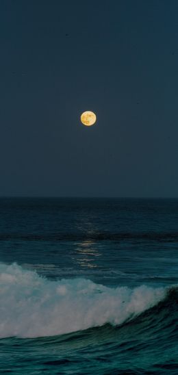 full moon, sea waves Wallpaper 1440x3040