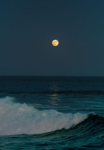 full moon, sea waves Wallpaper 1640x2360