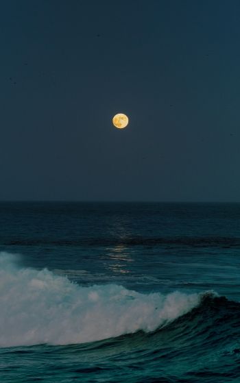 full moon, sea waves Wallpaper 1752x2800