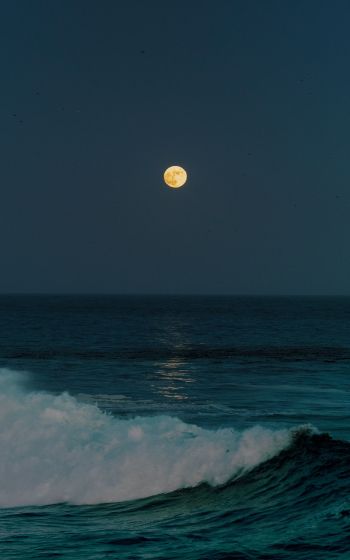 full moon, sea waves Wallpaper 1200x1920