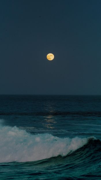 full moon, sea waves Wallpaper 640x1136
