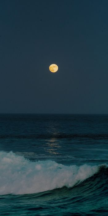 full moon, sea waves Wallpaper 720x1440