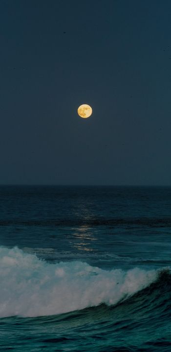 full moon, sea waves Wallpaper 1440x2960