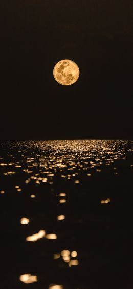 moon, world, reflection Wallpaper 1170x2532