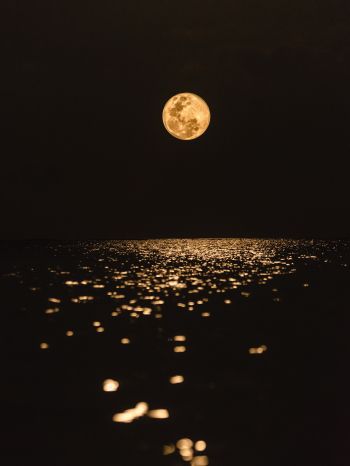 moon, world, reflection Wallpaper 1668x2224