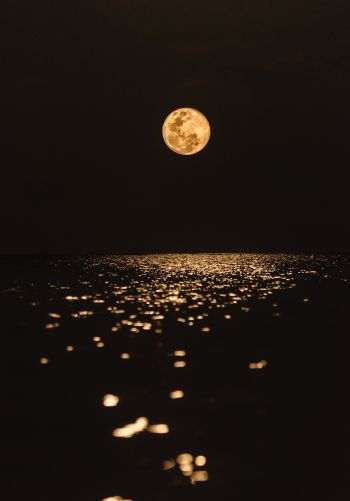 moon, world, reflection Wallpaper 1668x2388