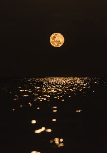 moon, world, reflection Wallpaper 1640x2360