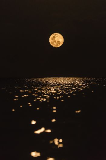 moon, world, reflection Wallpaper 640x960