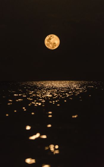 moon, world, reflection Wallpaper 1752x2800
