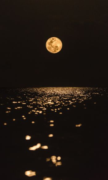 moon, world, reflection Wallpaper 1200x2000
