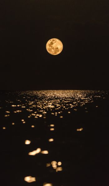 moon, world, reflection Wallpaper 600x1024