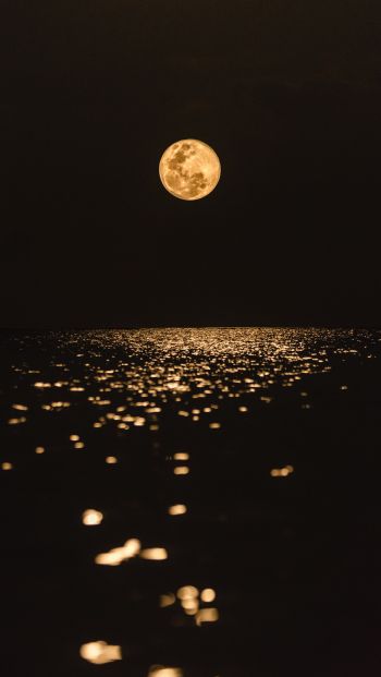 moon, world, reflection Wallpaper 640x1136