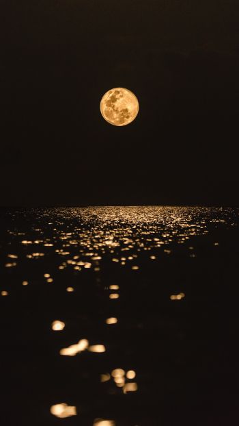 moon, world, reflection Wallpaper 1440x2560