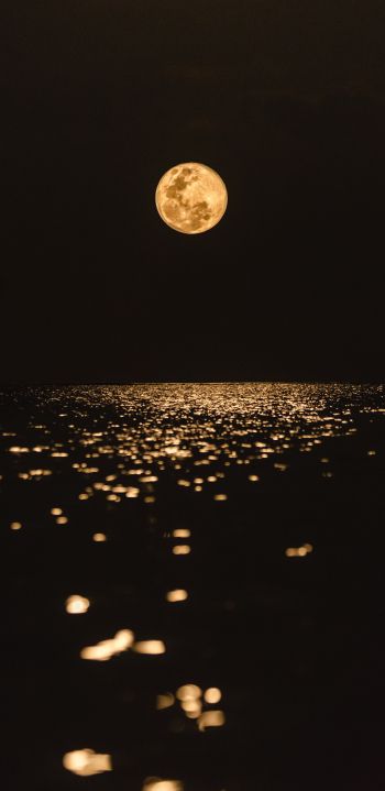 Обои 1080x2220 луна, свет, отражение