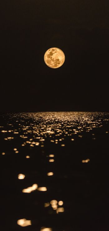 moon, world, reflection Wallpaper 1440x3040