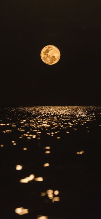 Обои 828x1792 луна, свет, отражение
