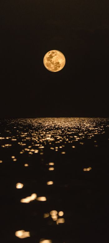 moon, world, reflection Wallpaper 1440x3200