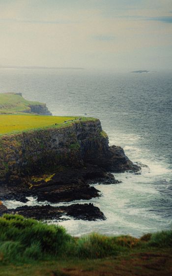 Ireland, cliff, sea Wallpaper 1600x2560