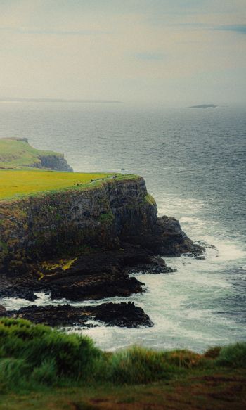 Ireland, cliff, sea Wallpaper 1200x2000