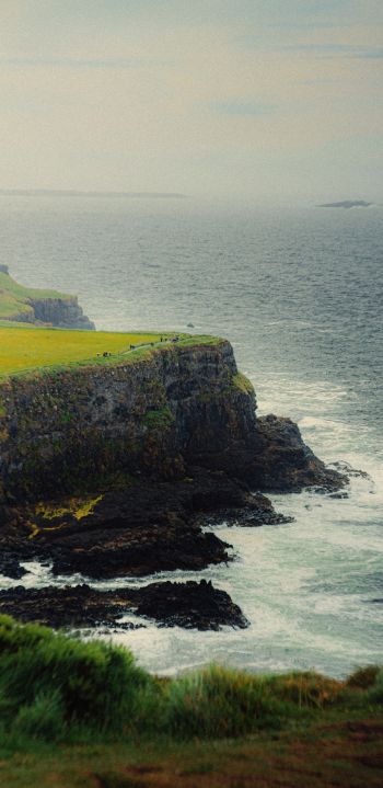 Ireland, cliff, sea Wallpaper 1440x2960