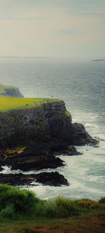 Ireland, cliff, sea Wallpaper 1440x3200
