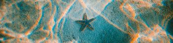starfish, bottom Wallpaper 1590x400