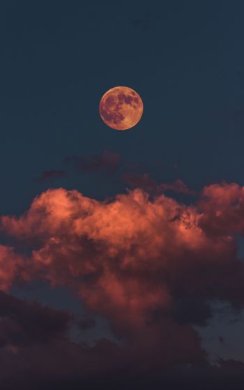 moon, clouds, sky Wallpaper 1752x2800