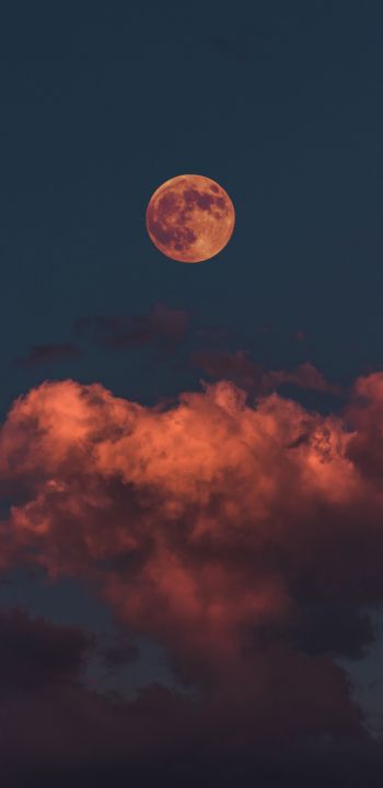 Обои 1080x2220 луна, облака, небо