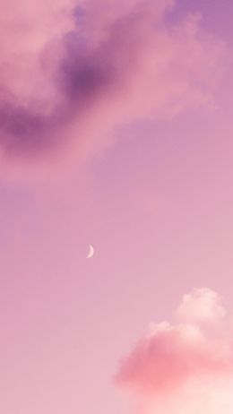 month, pink sky Wallpaper 2160x3840