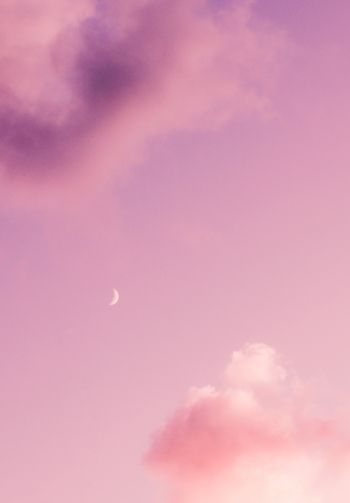month, pink sky Wallpaper 1640x2360